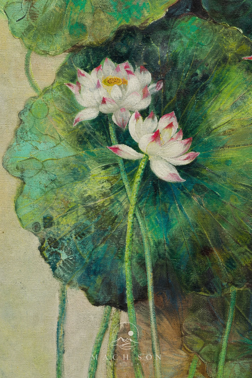 Nhất Phẩm Thanh Liên