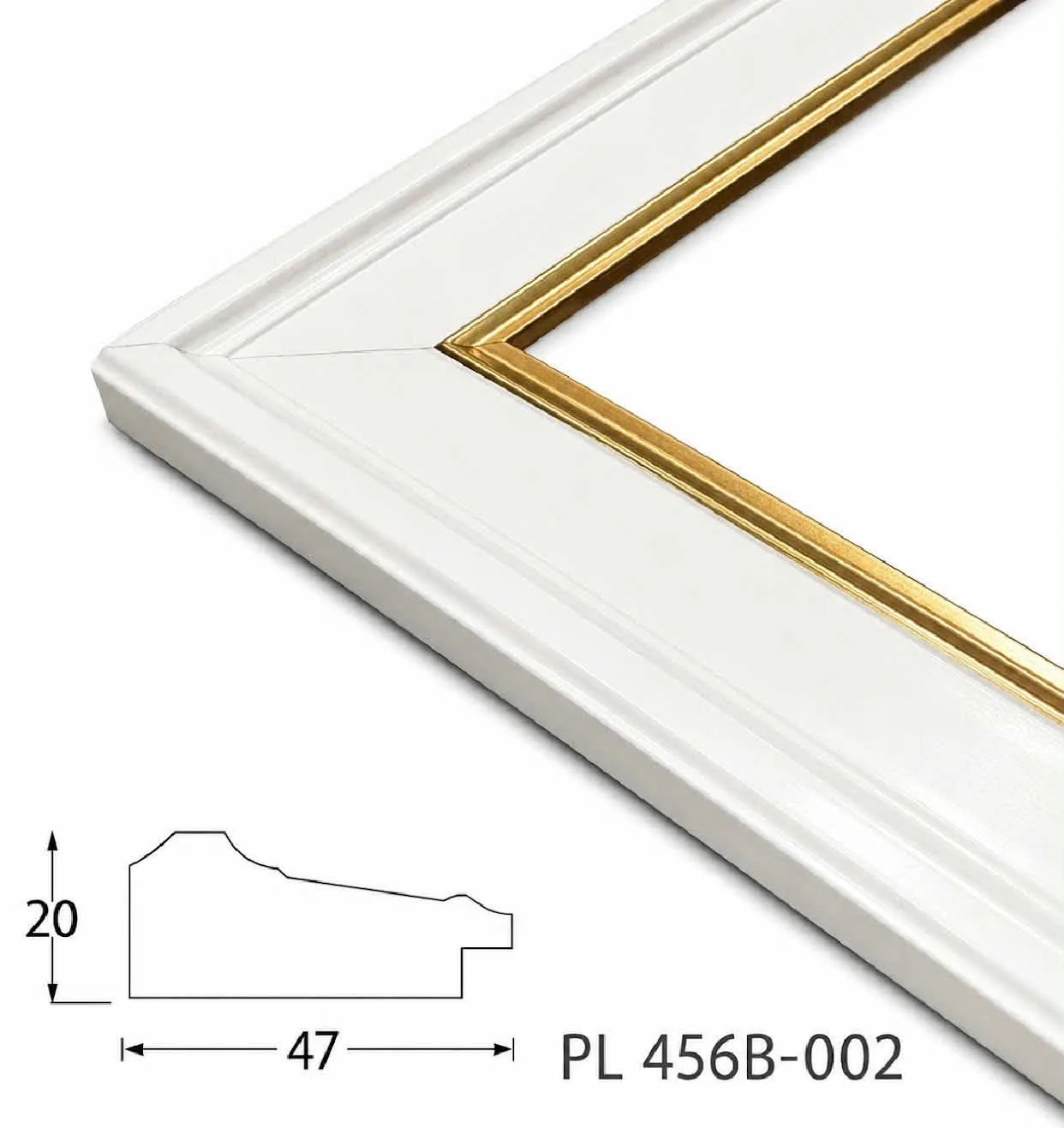 Khung PL 456B-002